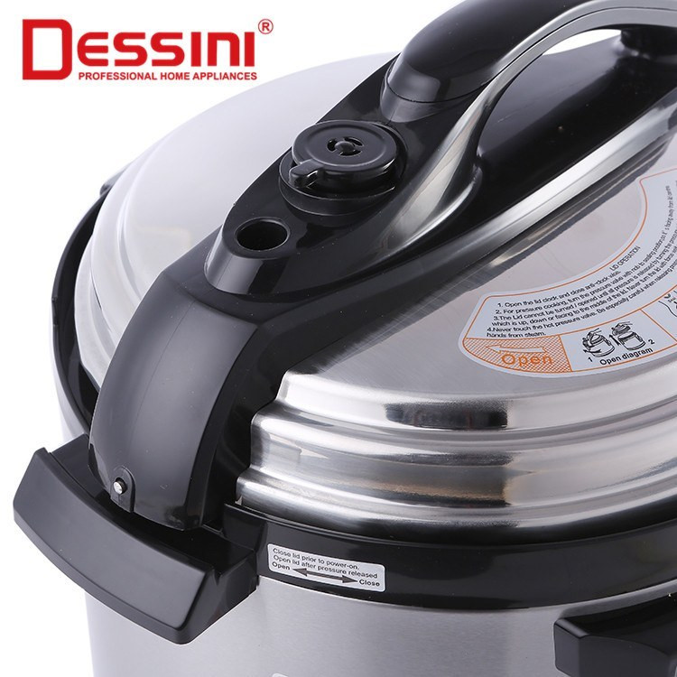 پلوپز چند کاره دسینی مدل DS-377 ظرفیت ۶ لیتر با بدنه استیل ضد زنگ